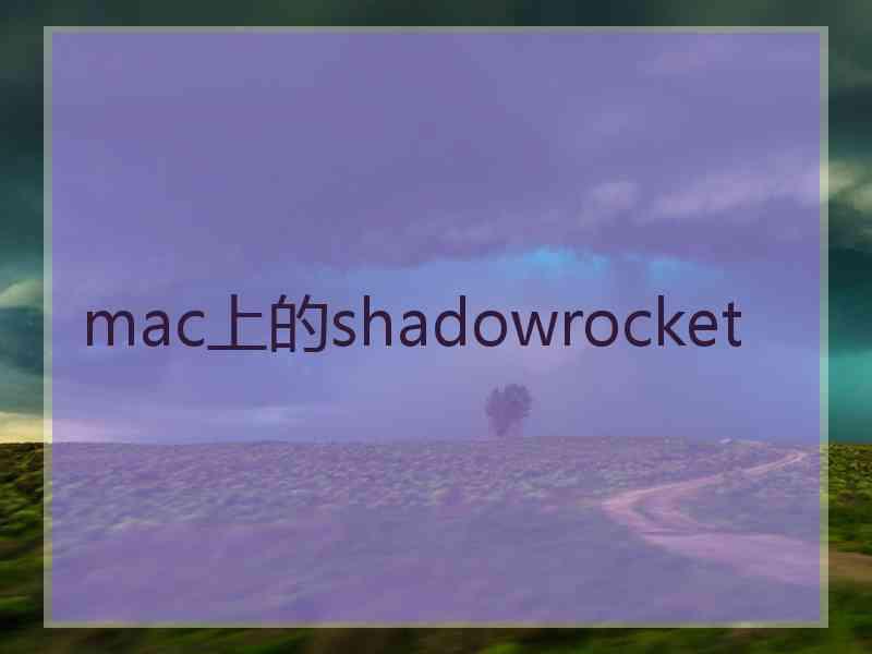 mac上的shadowrocket