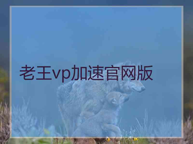 老王vp加速官网版