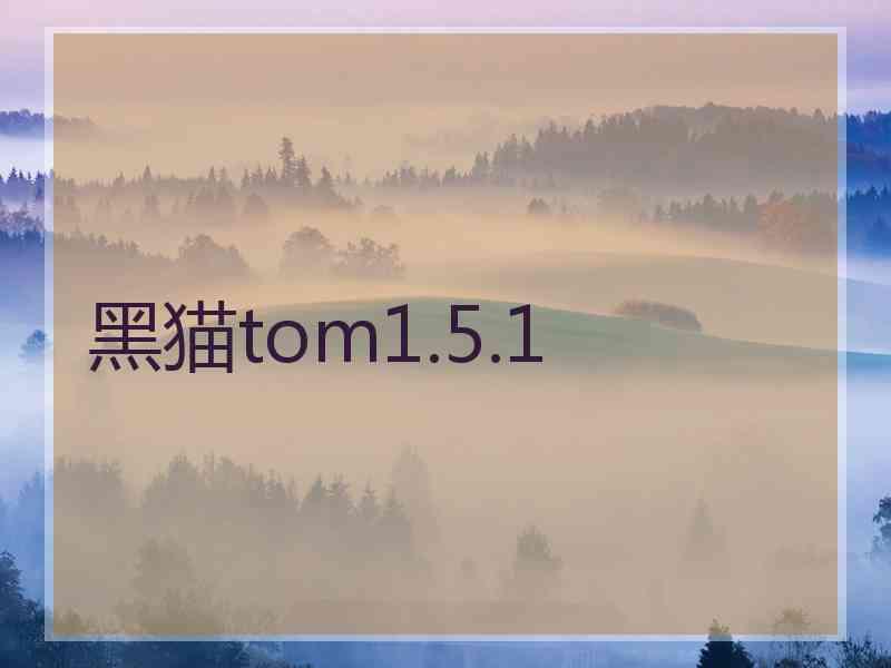 黑猫tom1.5.1