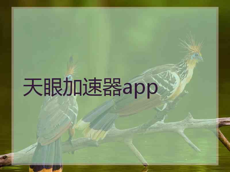 天眼加速器app