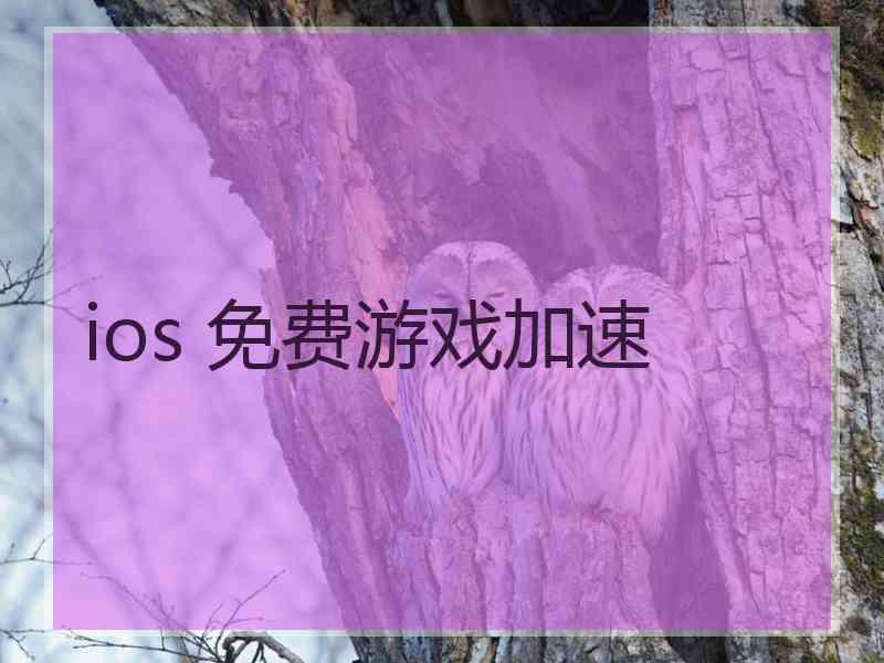 ios 免费游戏加速