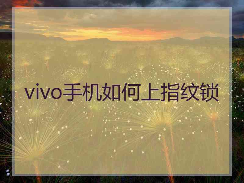 vivo手机如何上指纹锁