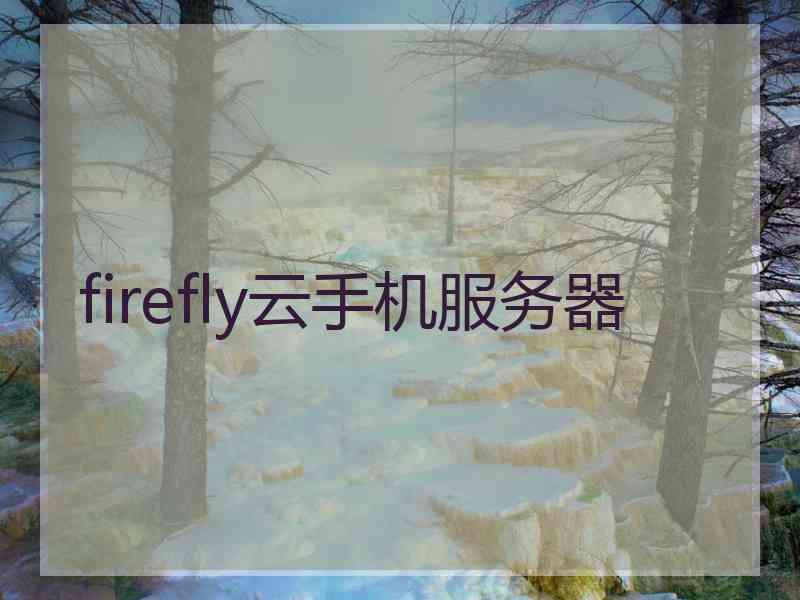 firefly云手机服务器