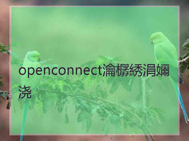 openconnect瀹樼綉涓嬭浇