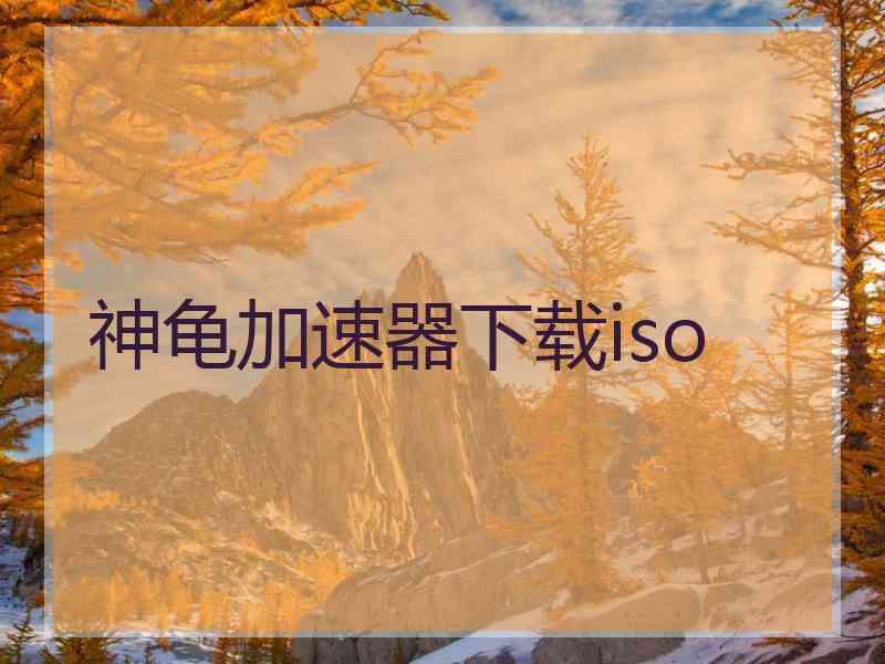 神龟加速器下载iso