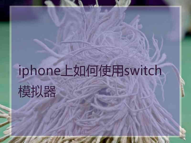 iphone上如何使用switch模拟器