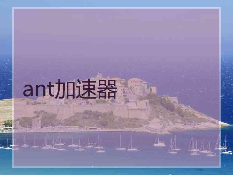 ant加速器