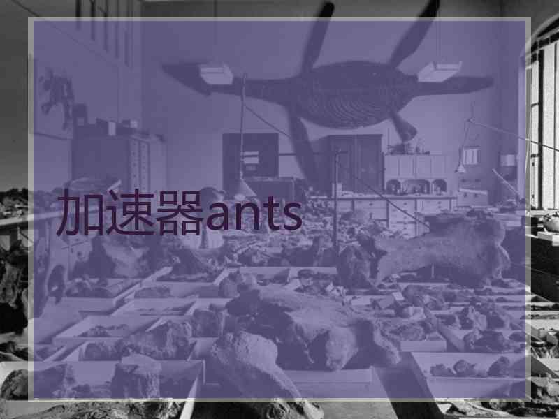 加速器ants