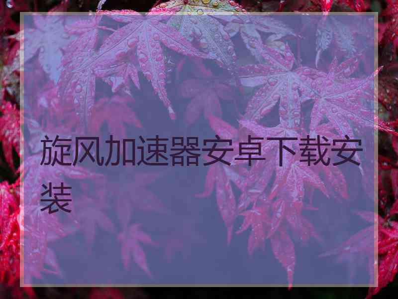 旋风加速器安卓下载安装