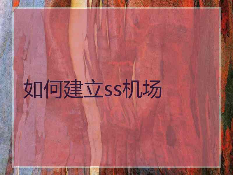 如何建立ss机场