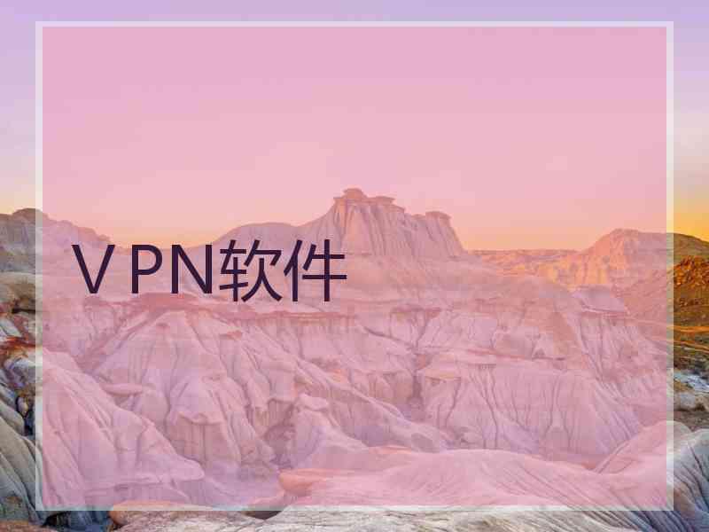 ⅤPN软件