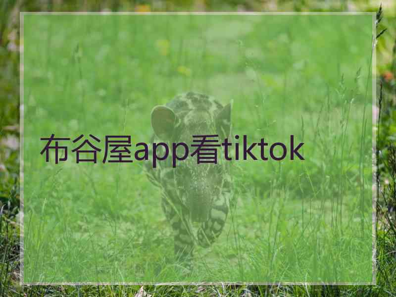 布谷屋app看tiktok