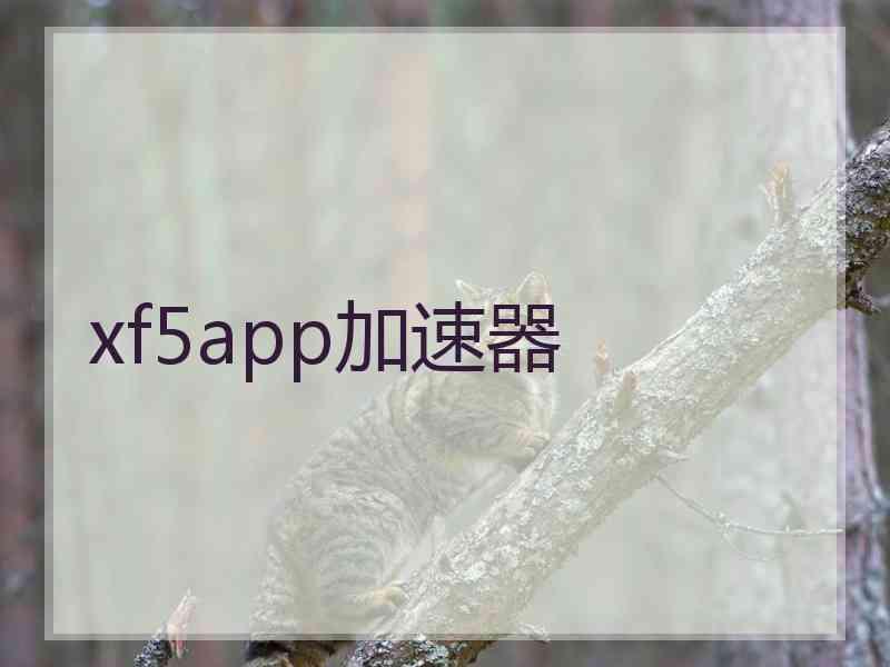 xf5app加速器