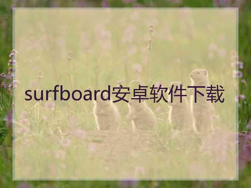 surfboard安卓软件下载