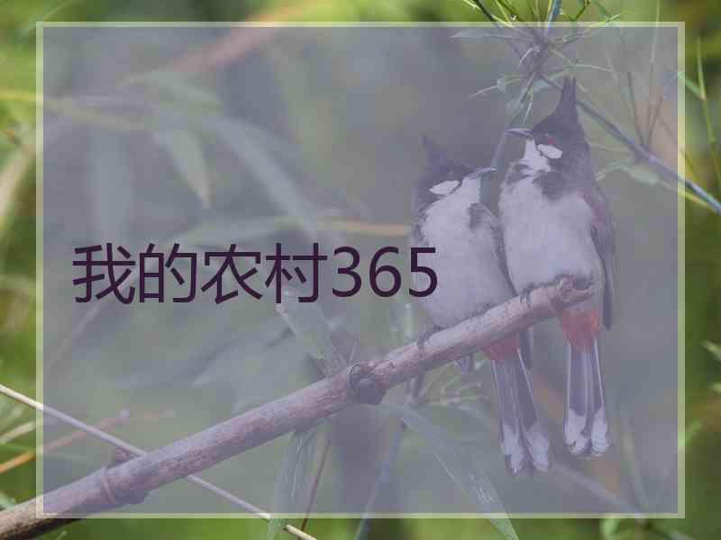 我的农村365