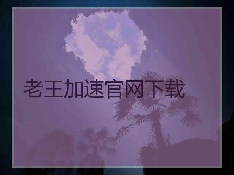 老王加速官网下载