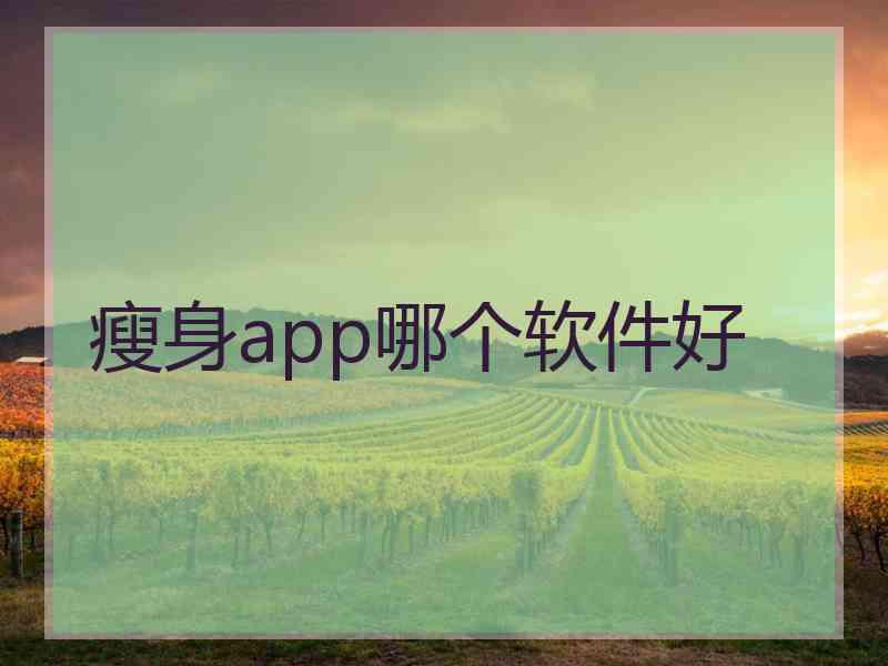 瘦身app哪个软件好