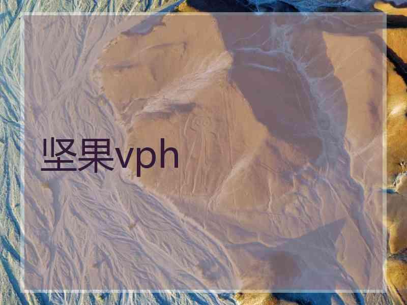 坚果vph