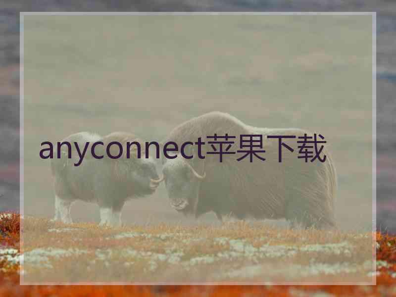 anyconnect苹果下载