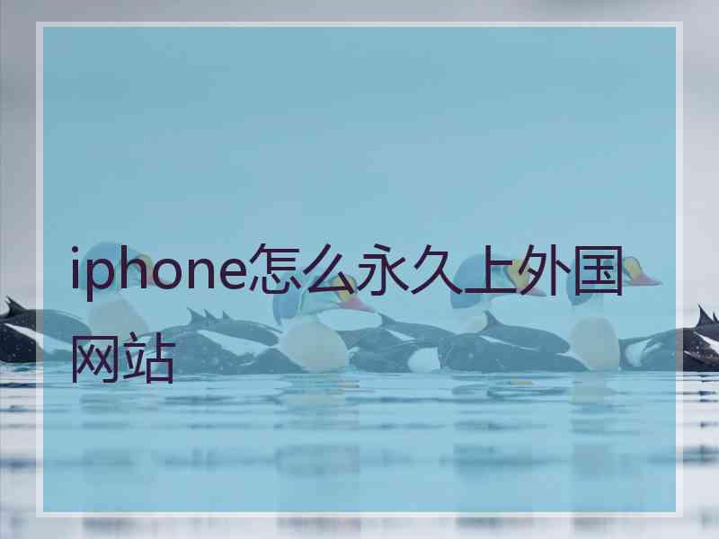 iphone怎么永久上外国网站