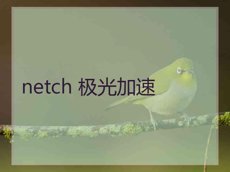 netch 极光加速