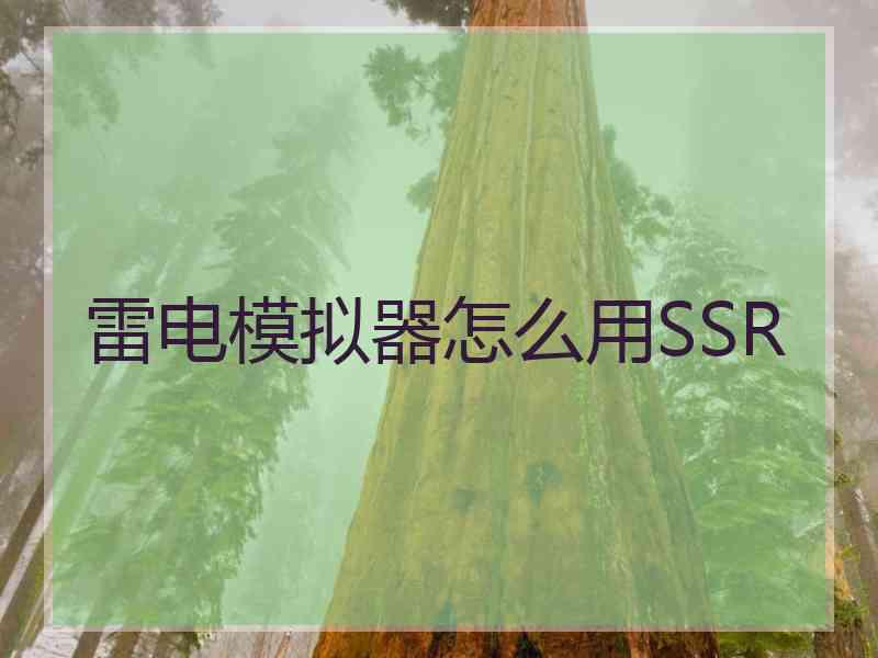 雷电模拟器怎么用SSR