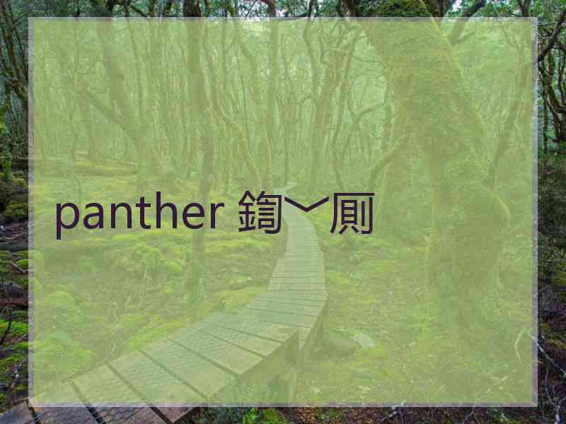 panther 鍧﹀厠