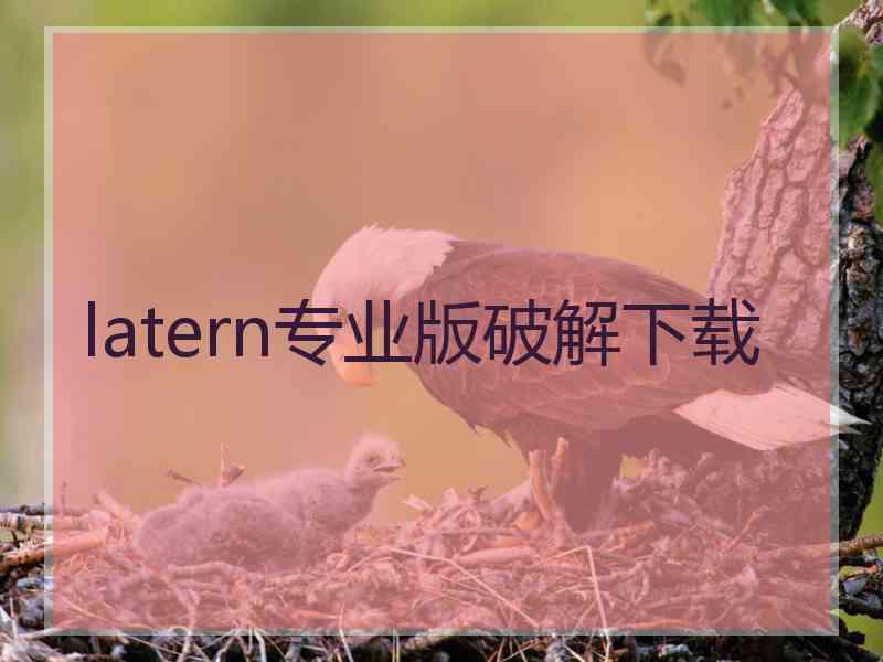 latern专业版破解下载