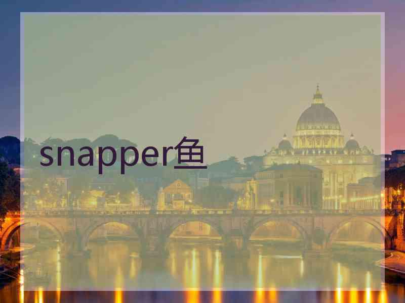 snapper鱼