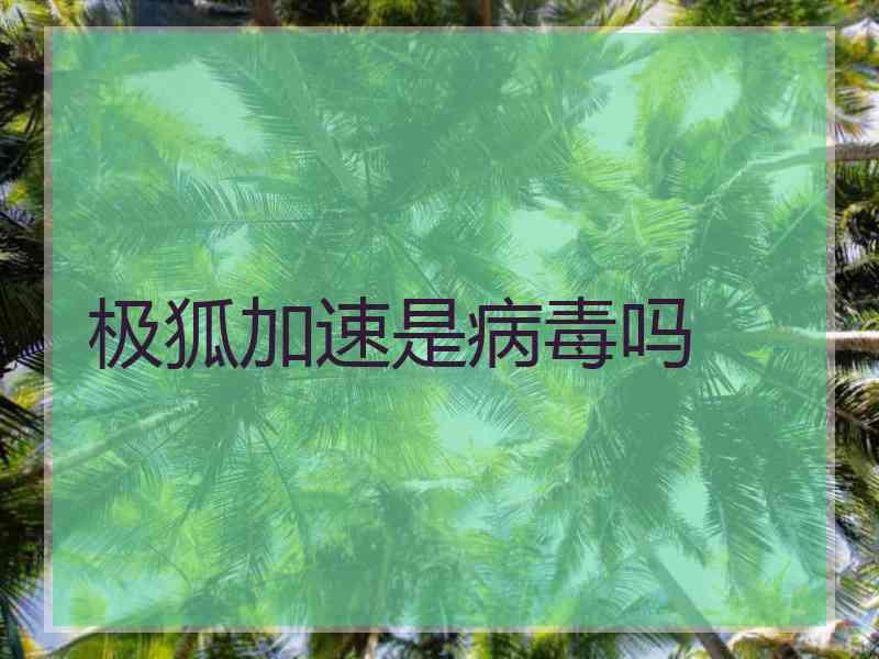 极狐加速是病毒吗