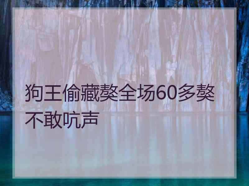 狗王偷藏獒全场60多獒不敢吭声