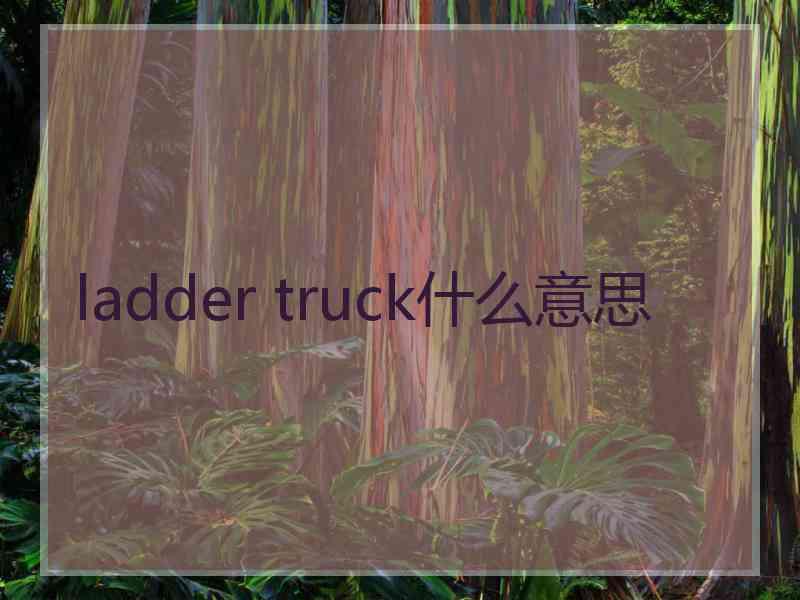 ladder truck什么意思