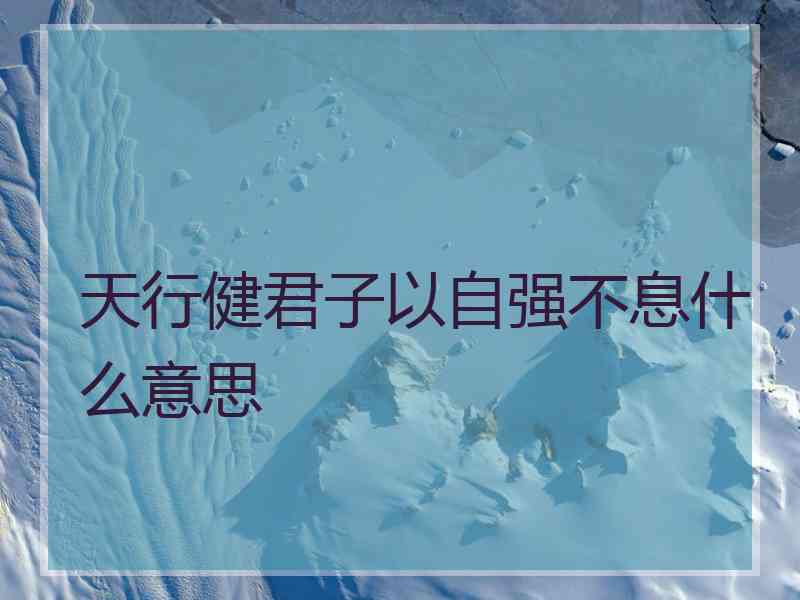 天行健君子以自强不息什么意思