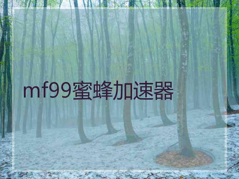 mf99蜜蜂加速器