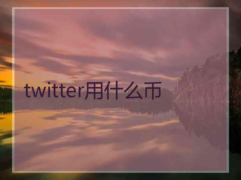 twitter用什么币