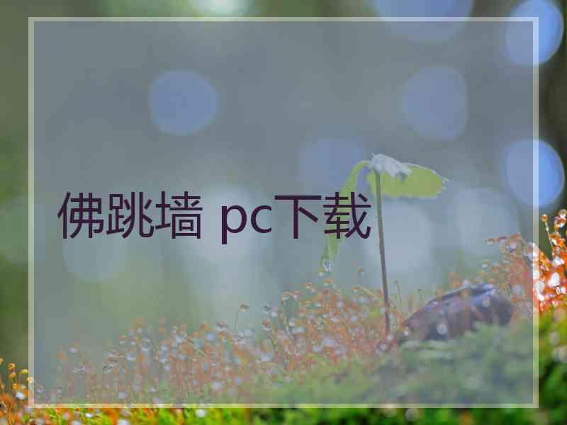 佛跳墙 pc下载