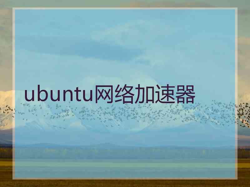 ubuntu网络加速器