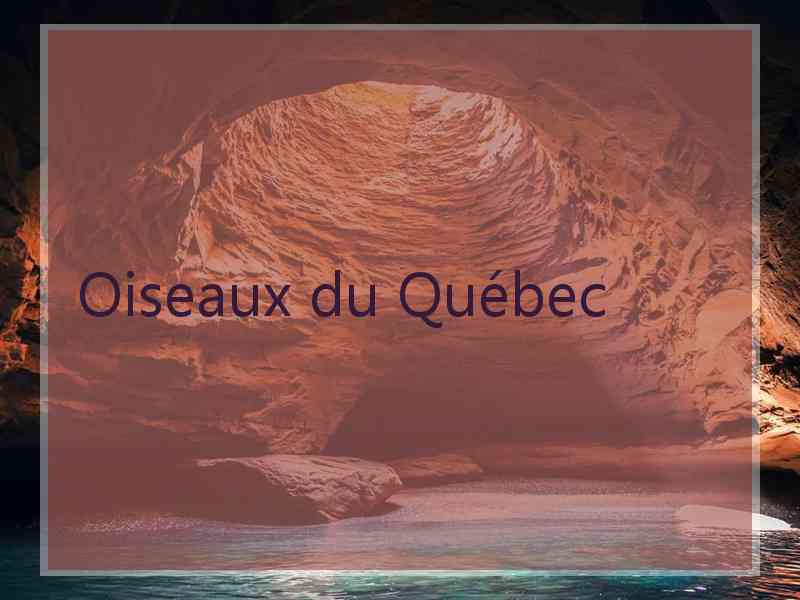 Oiseaux du Québec