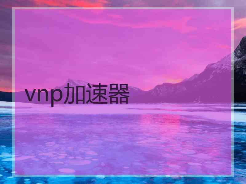 vnp加速器