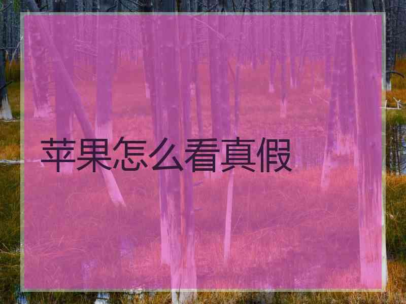 苹果怎么看真假