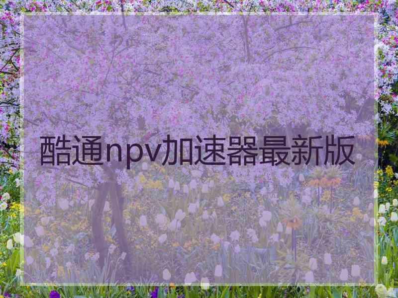 酷通npv加速器最新版