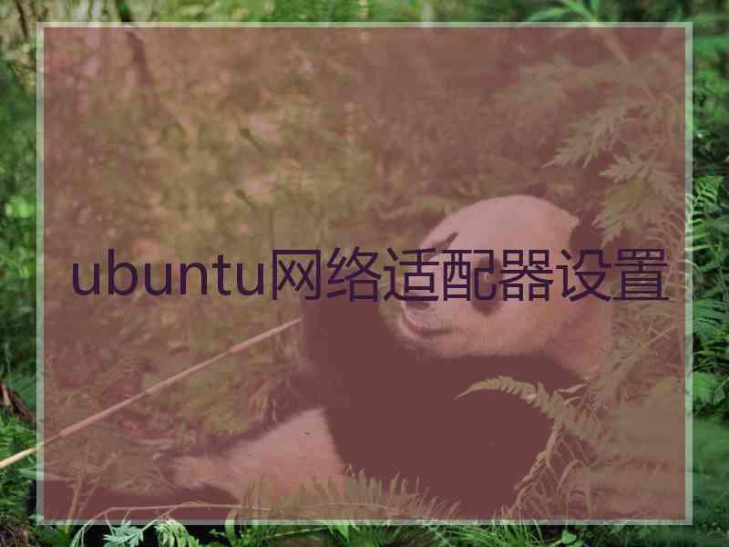 ubuntu网络适配器设置