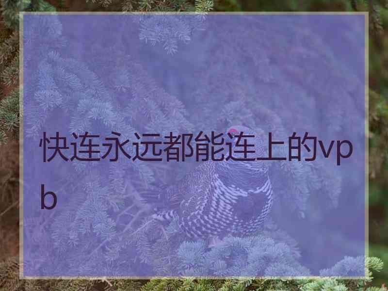 快连永远都能连上的vpb