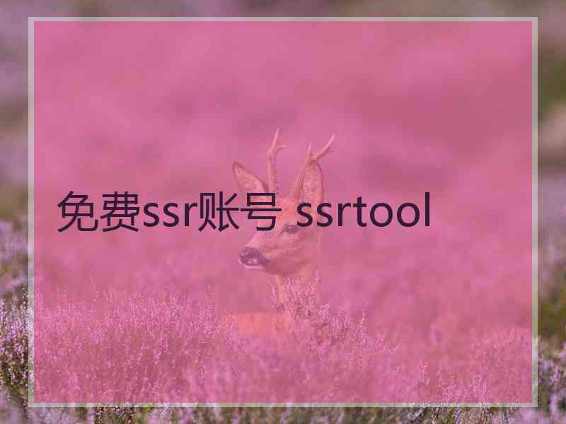 免费ssr账号 ssrtool