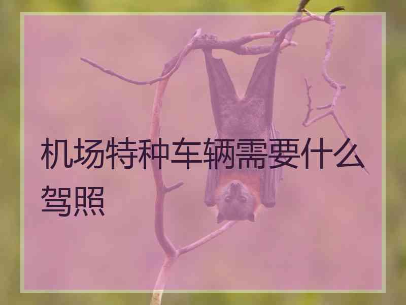 机场特种车辆需要什么驾照