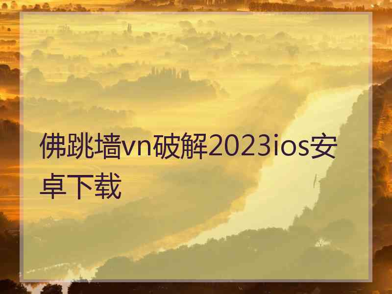 佛跳墙vn破解2023ios安卓下载