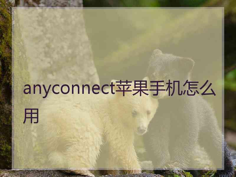 anyconnect苹果手机怎么用