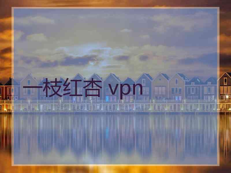 一枝红杏 vpn