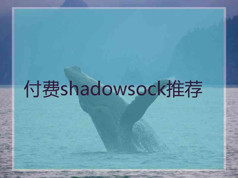 付费shadowsock推荐