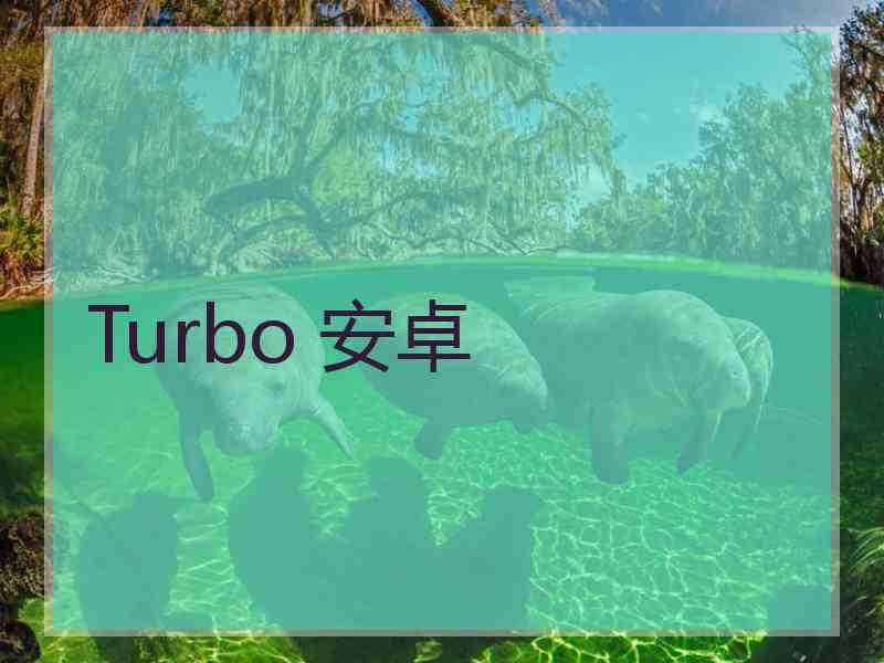 Turbo 安卓